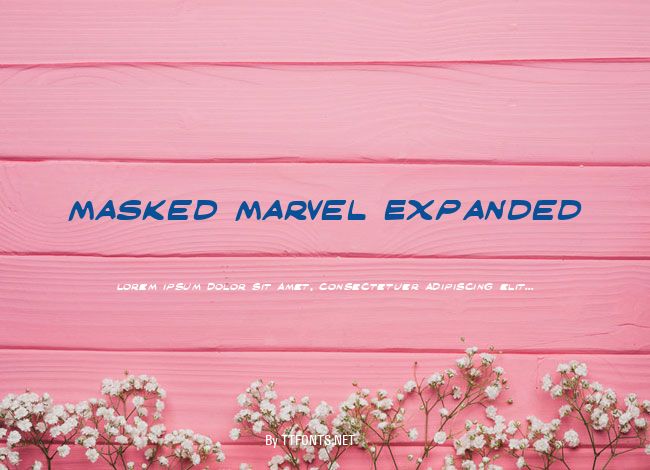 Masked Marvel Expanded example